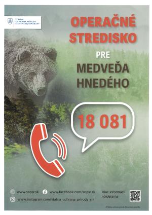 Operačné stredisko pre medveďa hnedého
